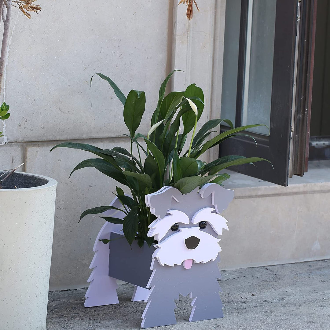 Schnauzer dog planter