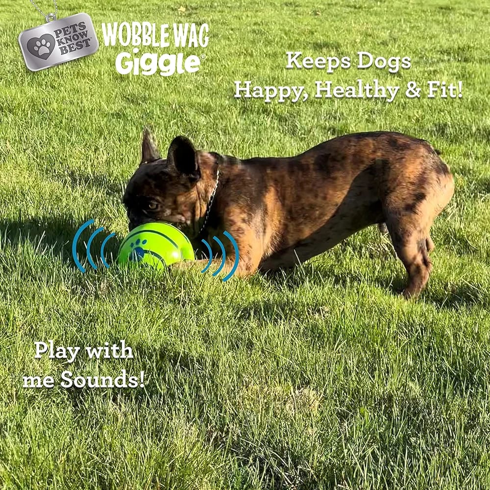 New Wobble Wag Giggle Ball !