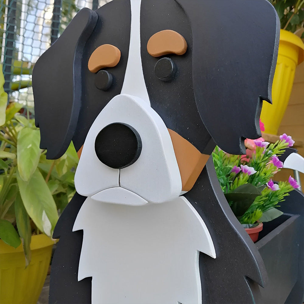 Bernese Bouvier planter