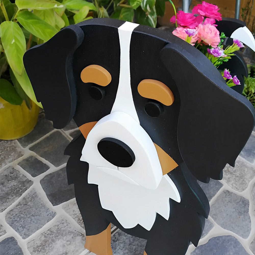 Bernese Bouvier planter