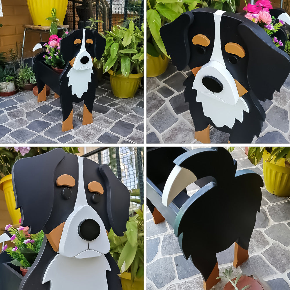 Bernese Bouvier planter