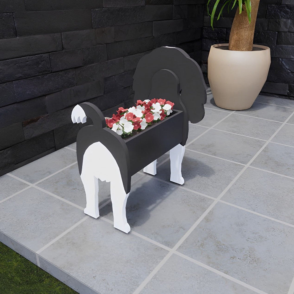 Cavalier King Planter