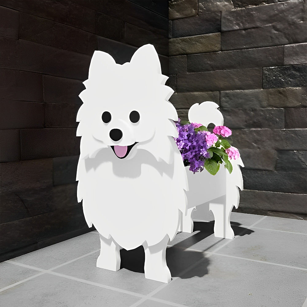 Pomeranian Planter