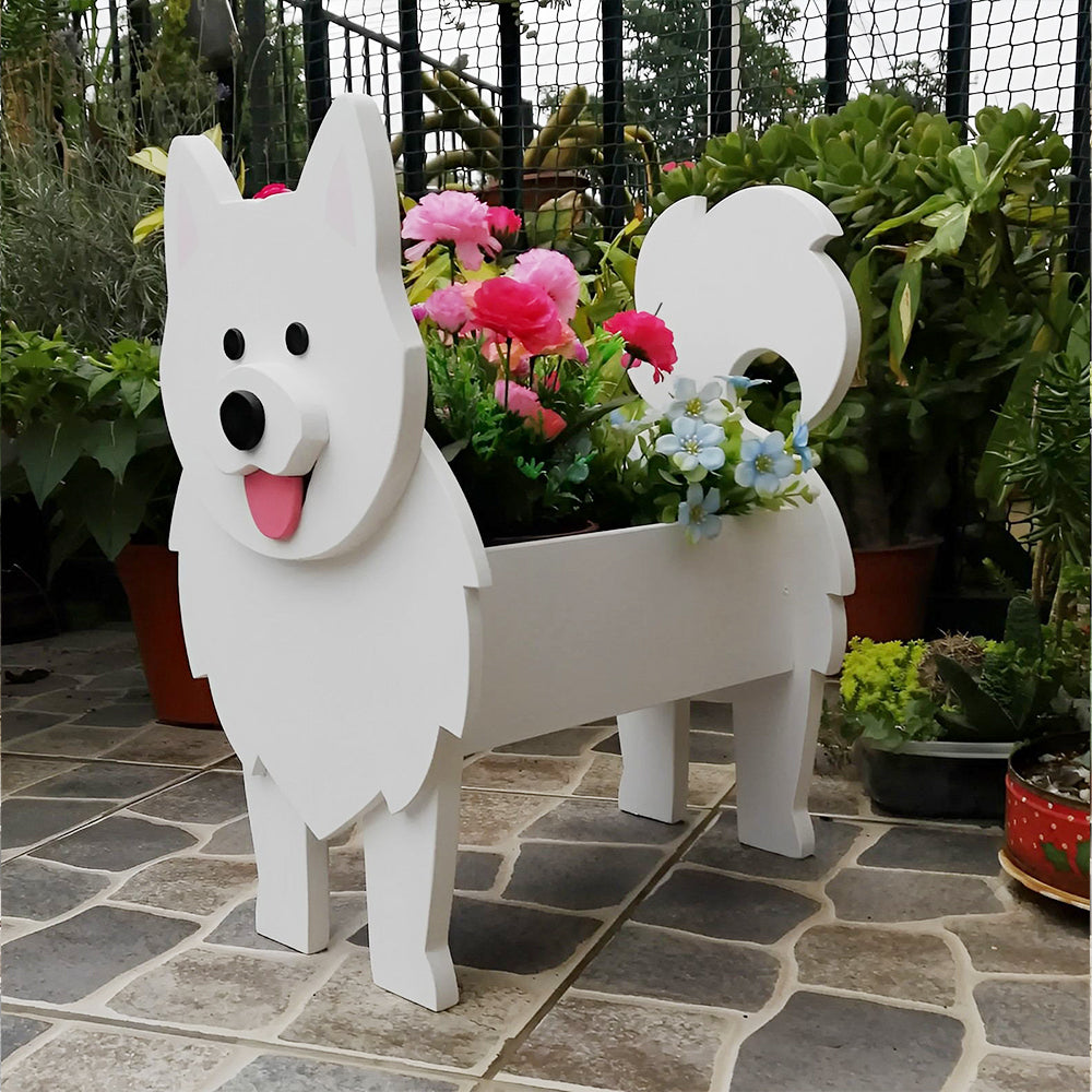 Samoyed Planter